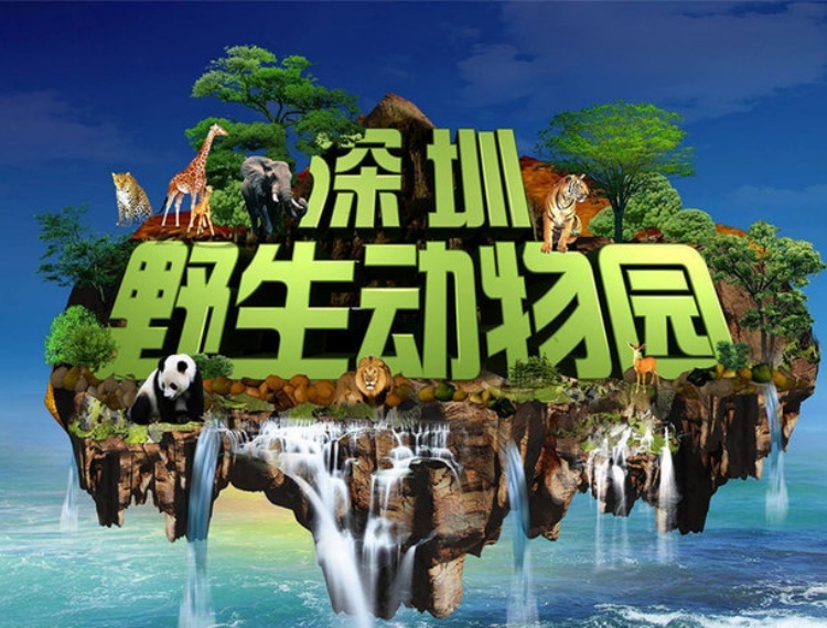 產品圖片