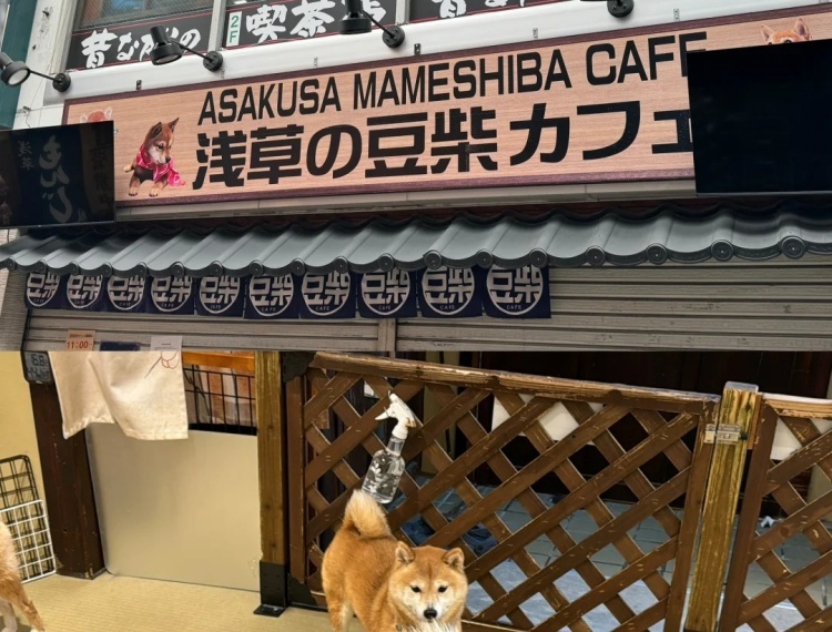 產品圖片
