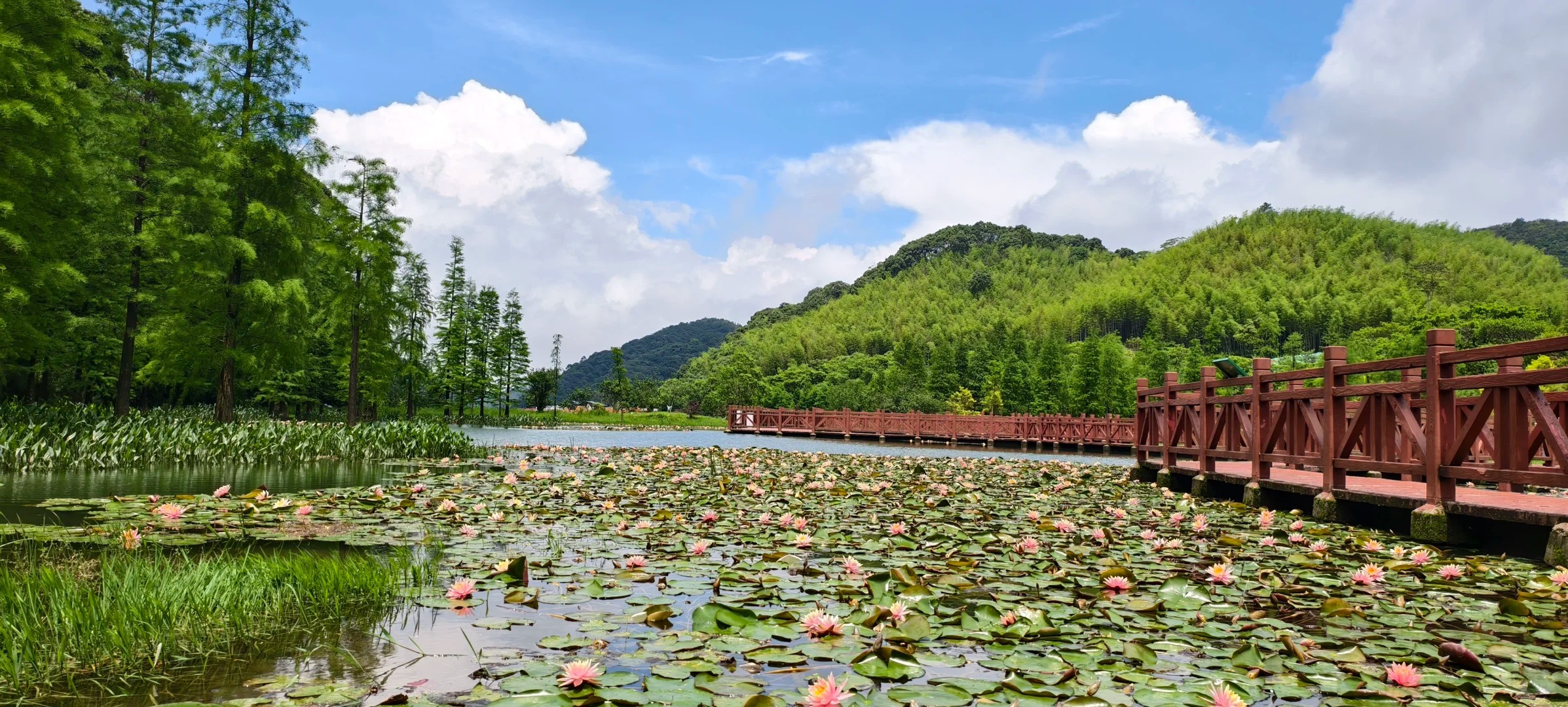 听劝，请一定要自驾来石门国家森林公园_3_广州市石门国家森林公园_来自小红书网页版.jpg