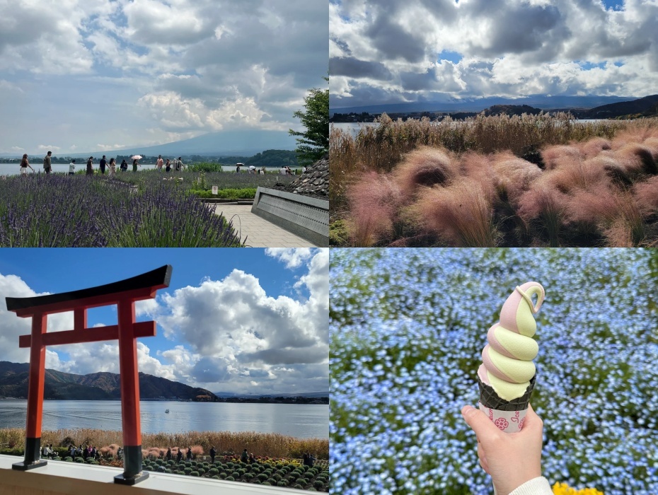 河口湖自然生活馆.jpg