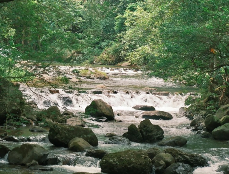 广州｜石门国家森林公园去班味1日游_1_啰栗子_来自小红书网页版.jpg