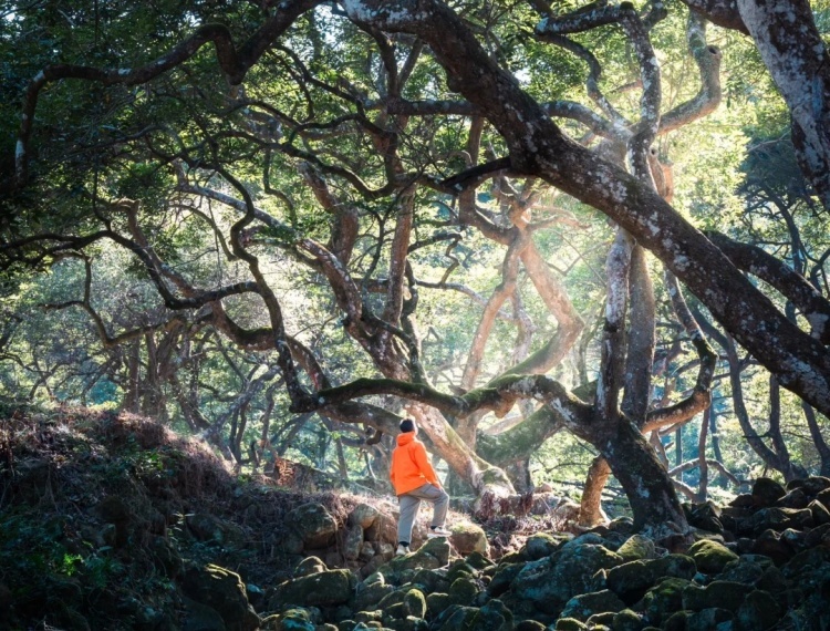 广州人问疯了❗广州这9⃣条绝美徒步路线_5_邓山海_来自小红书网页版.jpg