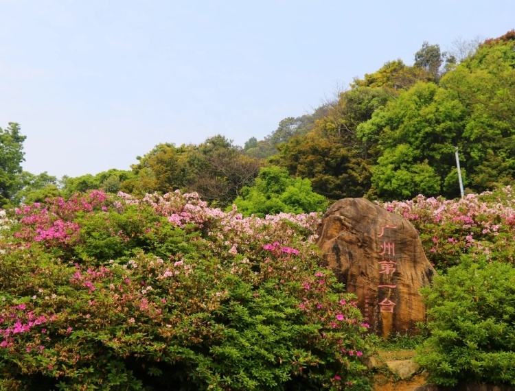 听劝，请一定要自驾来石门国家森林公园_7_广州市石门国家森林公园_来自小红书网页版.jpg