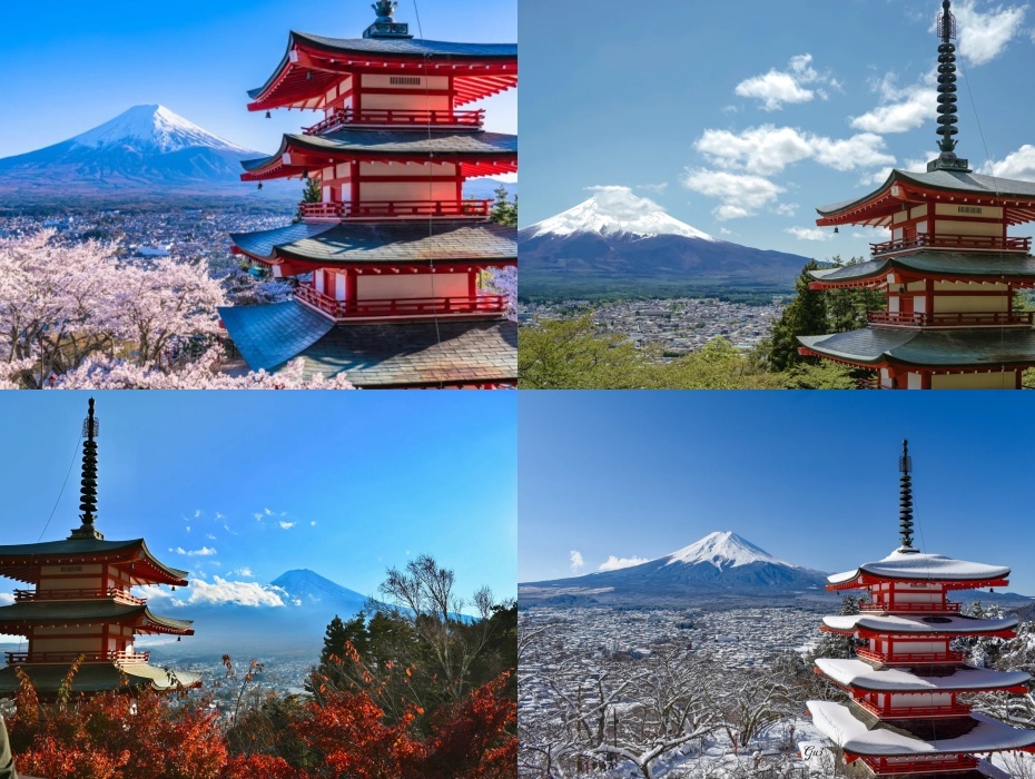 新仓山浅间公园四季.jpg