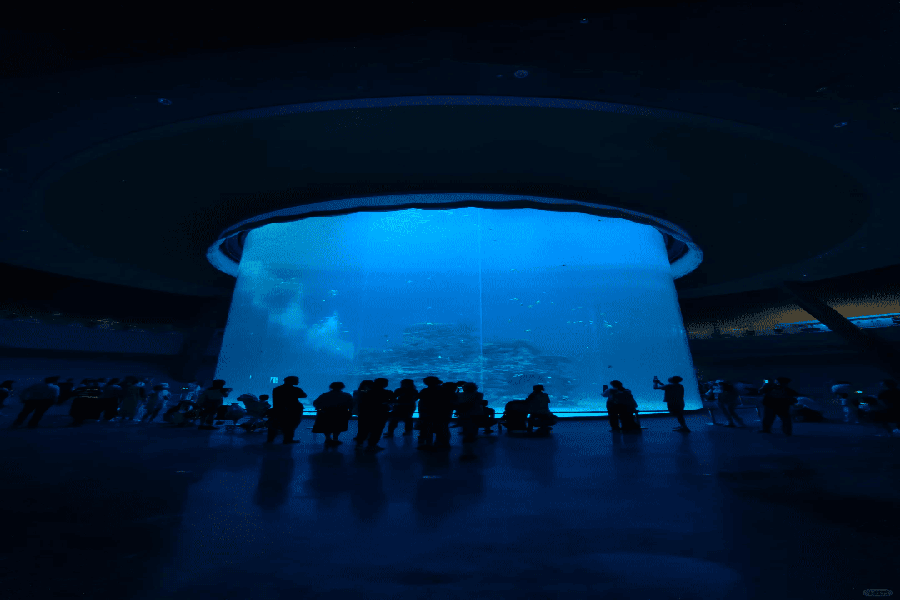 202507151418-6808793059.png