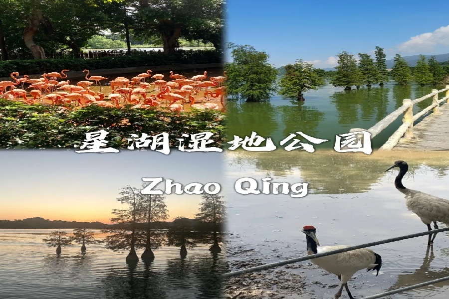 肇庆九大必去景点~_9_午阳（旅行版）_来自小红书网页版.jpg