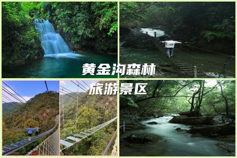 黄金沟森林旅游景区.jpg