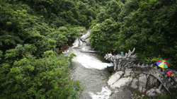 d05a9d33a7eefda0e1a61319e80bc7d3.jpg