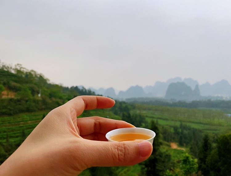 產品圖片