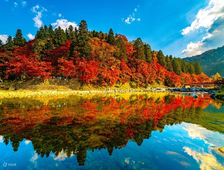 產品圖片