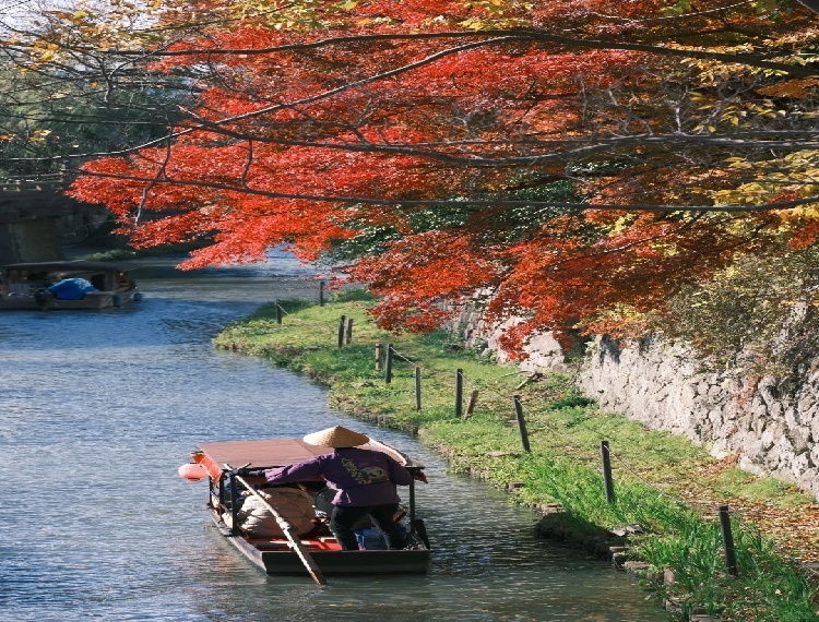 產品圖片