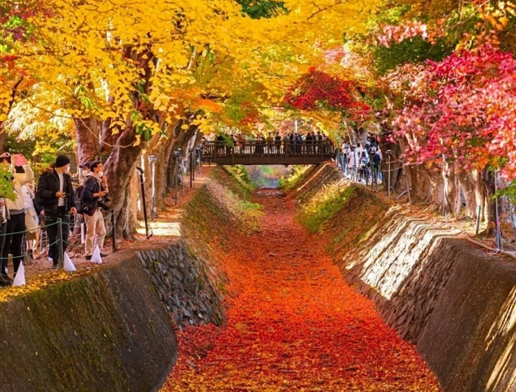 產品圖片