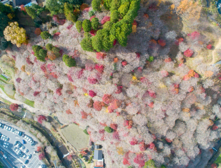 產品圖片