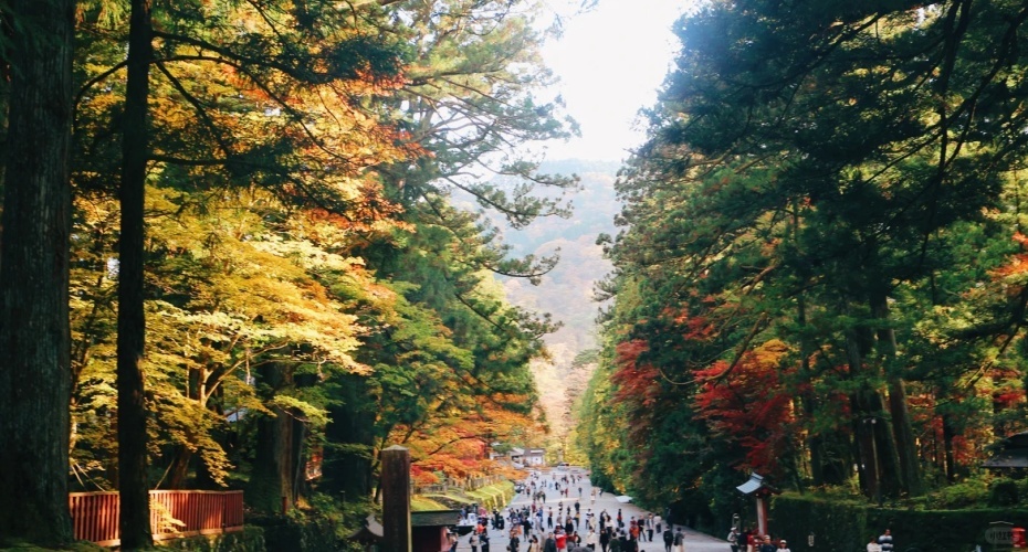 🇯🇵都去日光吧！红着呢！附日归攻略_8_微凡_来自小红书网页版.jpg