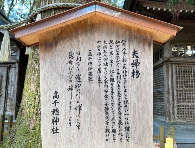 產品圖片