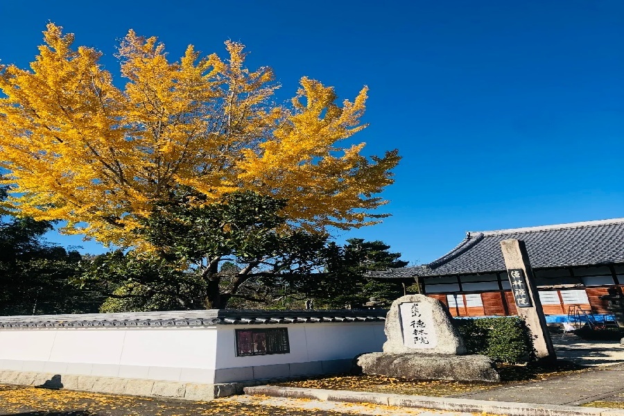 虎永 (3).jpg