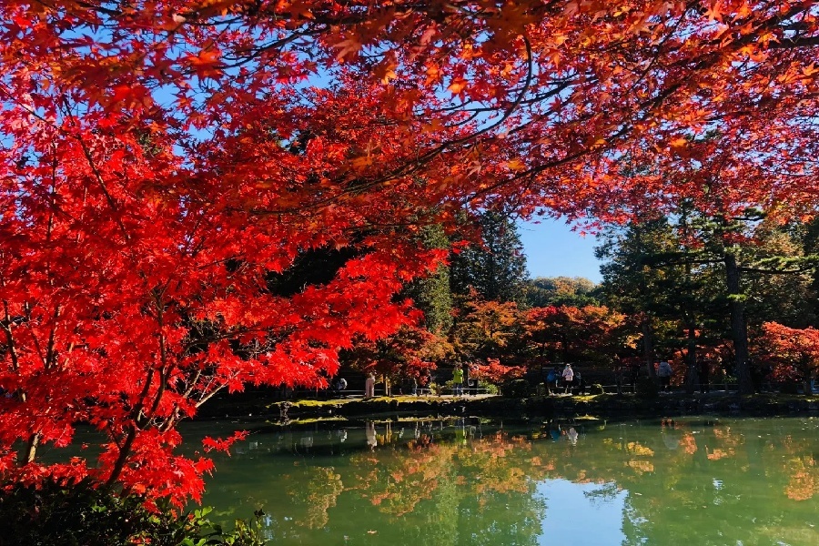 虎永 (2).jpg