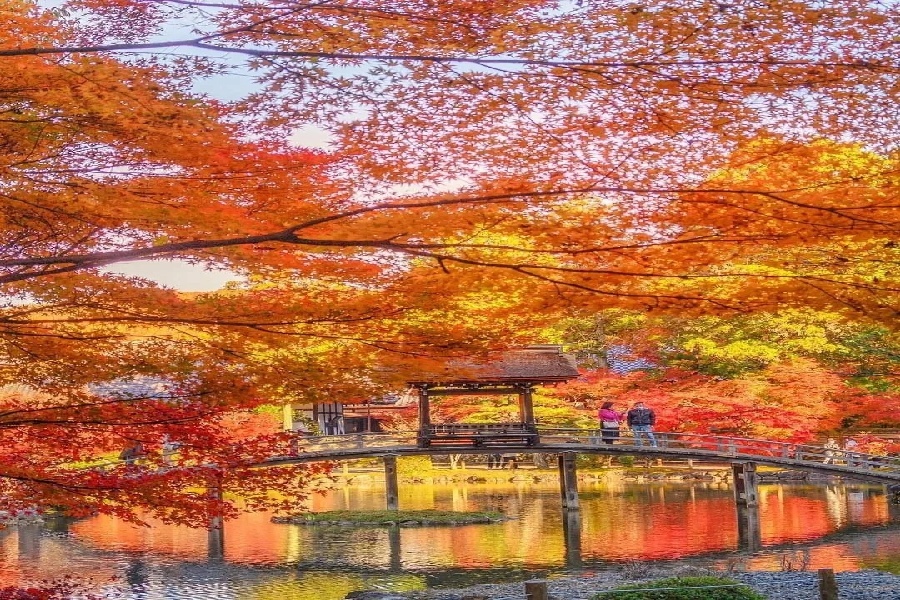 虎永 (1).jpg