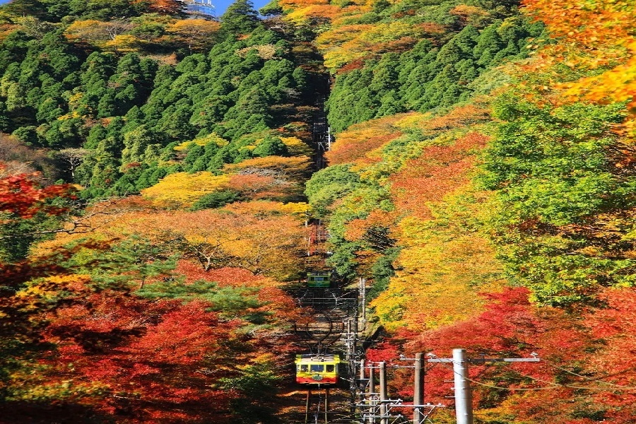 立山 (5).jpg