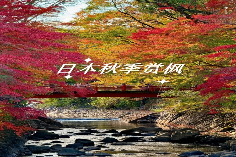 标题1.jpg