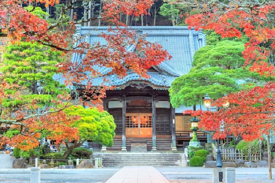 修善寺1.jpg