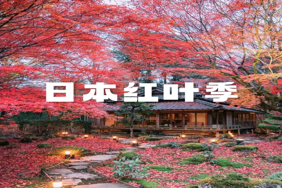 标题1.jpg