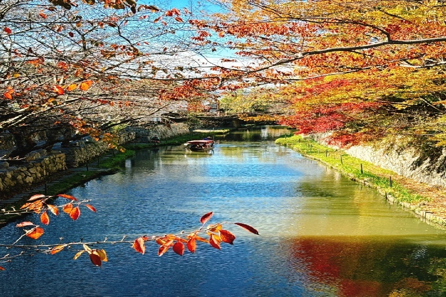红叶季的八幡堀，美的好似江南水乡_2_顾译笑啐小地瓜_来自小红书网页版.jpg