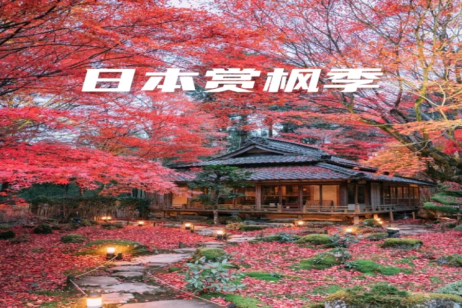 标题3.jpg