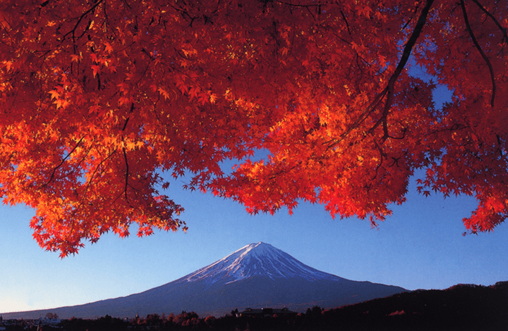 a3b83f466fa5fe55e2b4774a92cc9a71.png