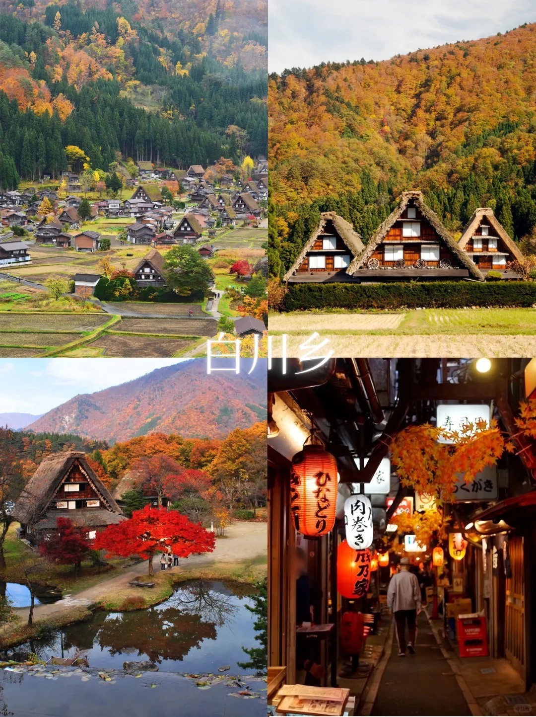 🔥2025日本红叶狩全攻略！赏枫冲冲冲_2_湖南新康辉_来自小红书网页版.jpg