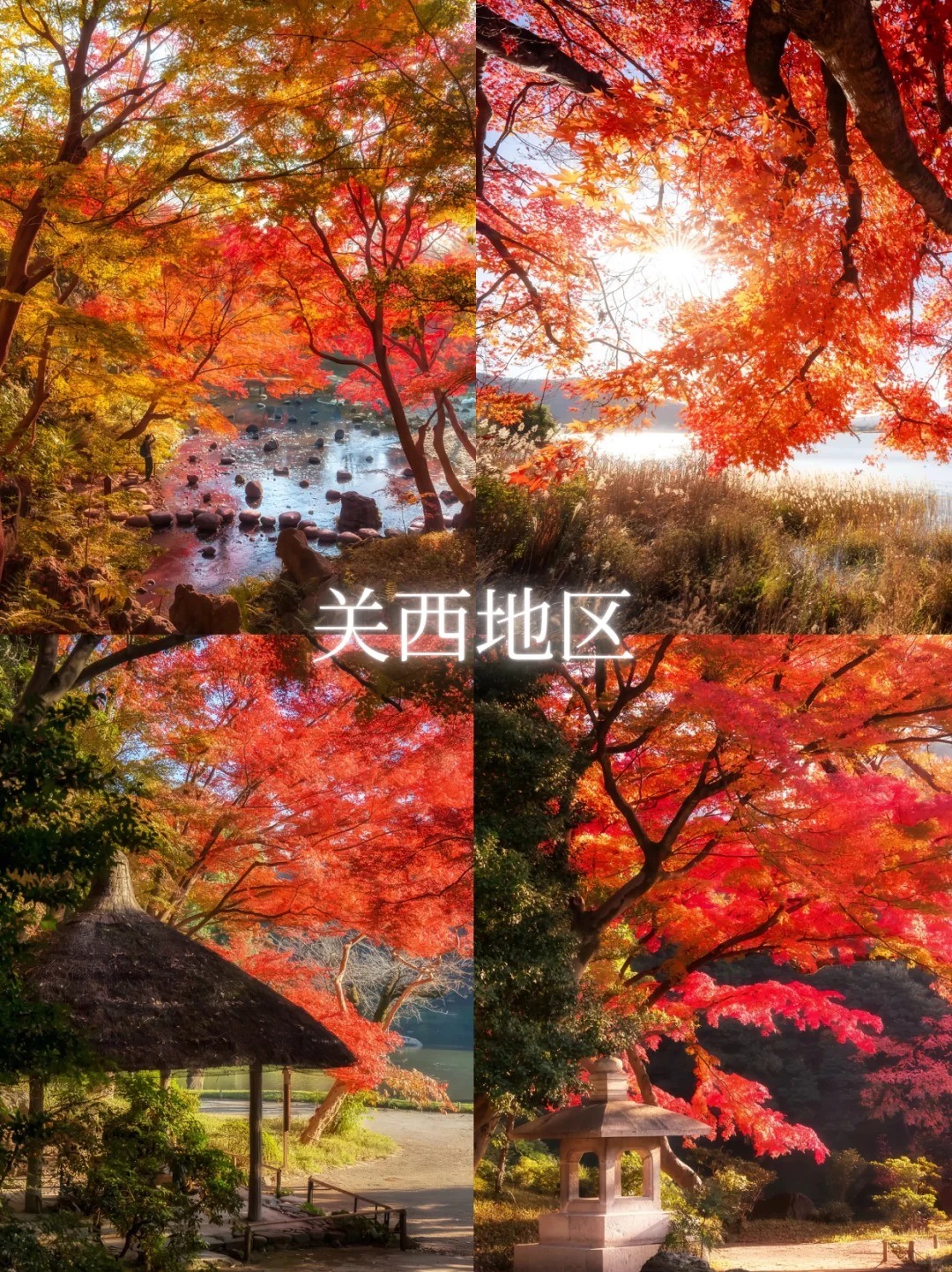 🔥2025日本红叶狩全攻略！赏枫冲冲冲_4_湖南新康辉_来自小红书网页版.jpg