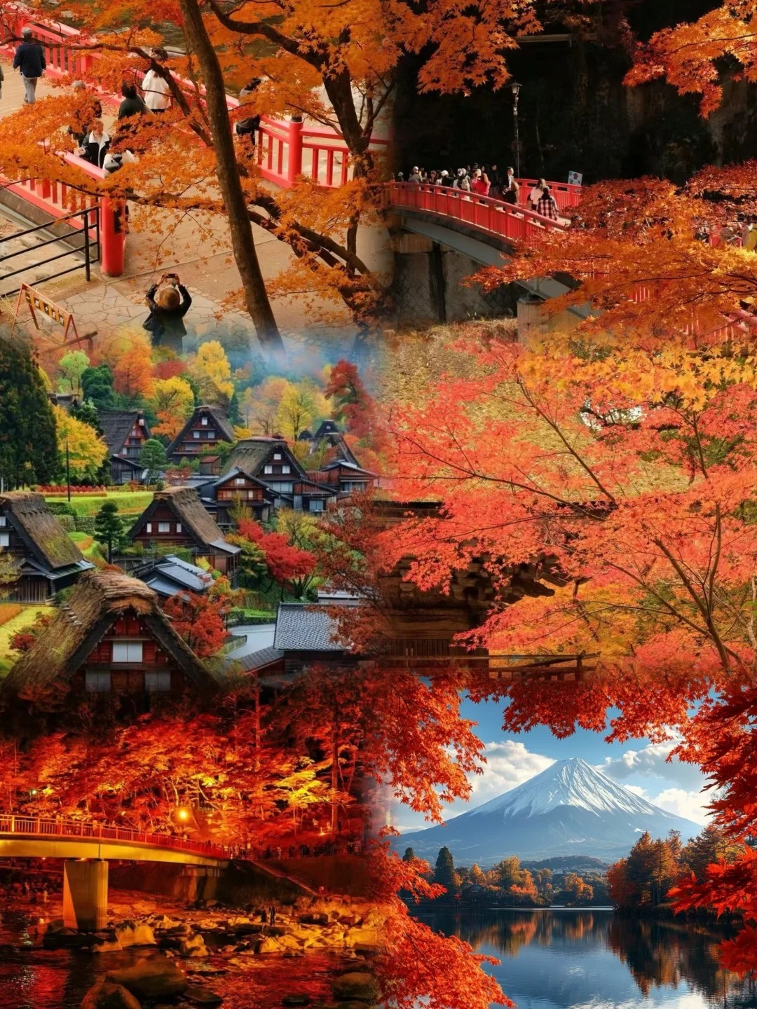 日本赏枫攻略🍁手把手教你追枫正确打开方式_5_中诚亮点旅游JAPAN旅行优选社_来自小红书网页版.jpg