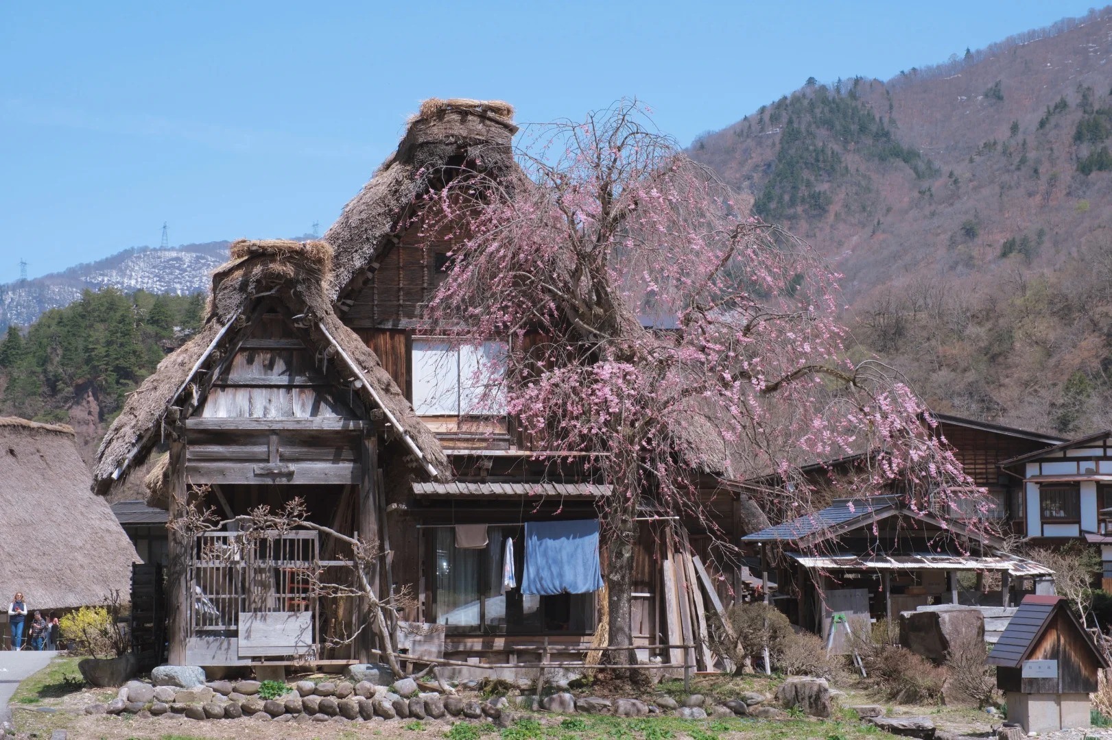 白川鄉 (28).jpg
