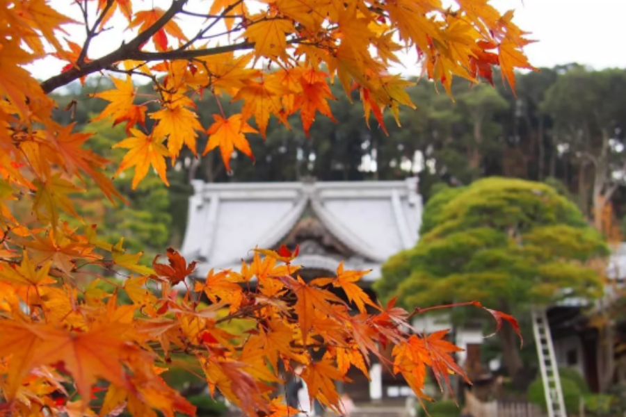 屏幕截图 2025-08-21 153220.png