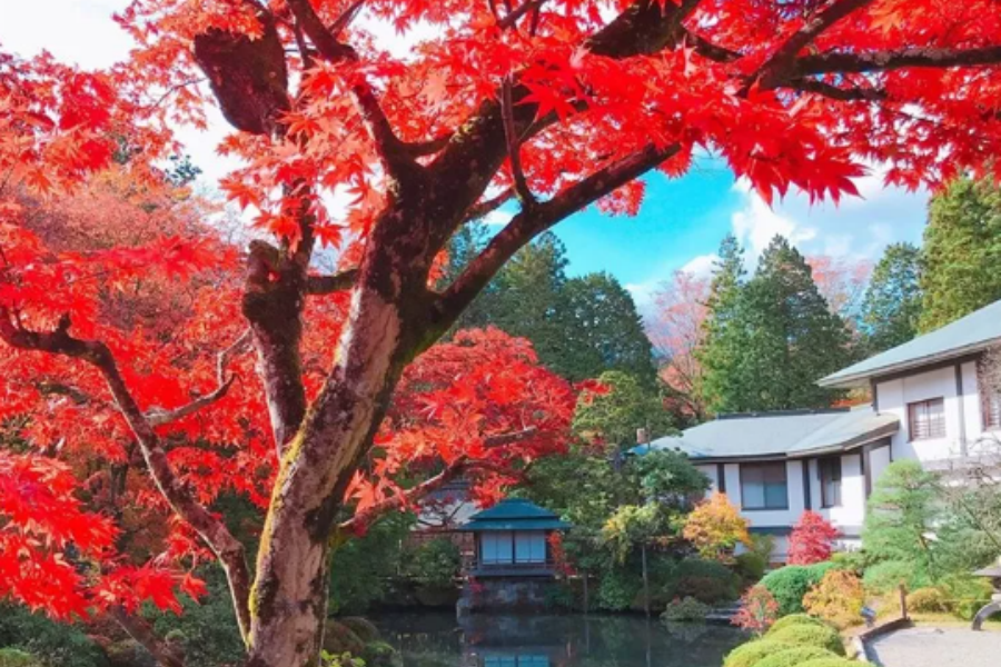 轮王寺.png