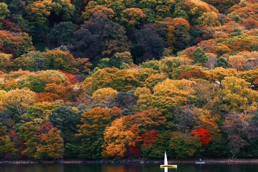 🇯🇵日光中禅寺湖红叶🍁_1_粥粥子_来自小红书网页版.jpg