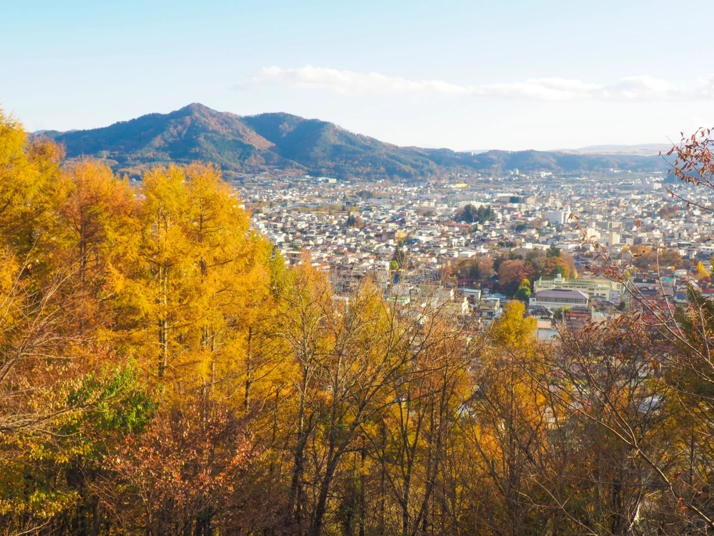  富士山網紅打卡景點 (36).jpg