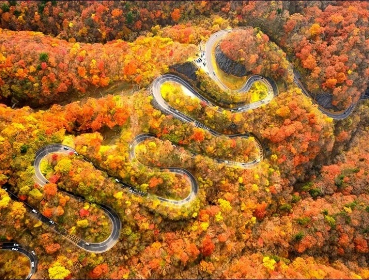 11 (12).jpg