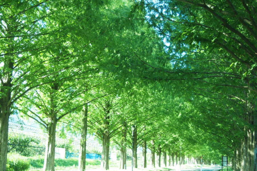 屏幕截图 2025-08-26 141521.png
