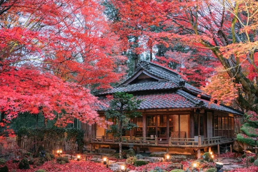 ♥️滋贺♥️赤红色的落叶庭院♥️_2_树小喵_来自小红书网页版.jpg