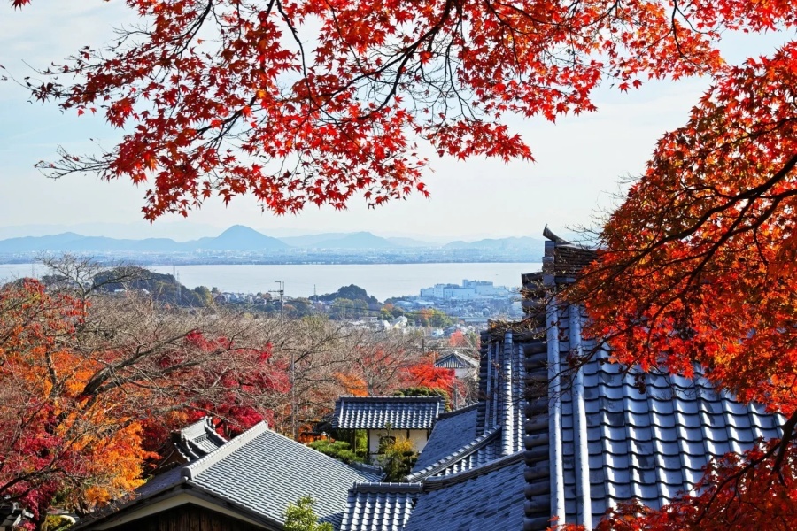 谁也没告诉我比叡山这么好看哪_7_羁野宋_来自小红书网页版.jpg