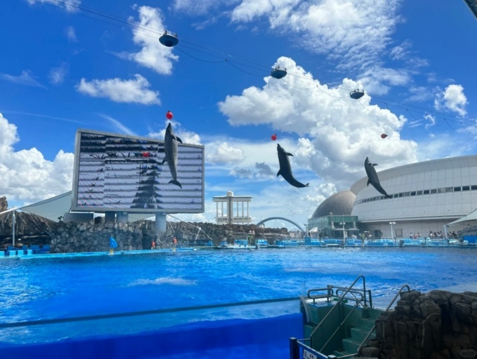 750-1.jpg