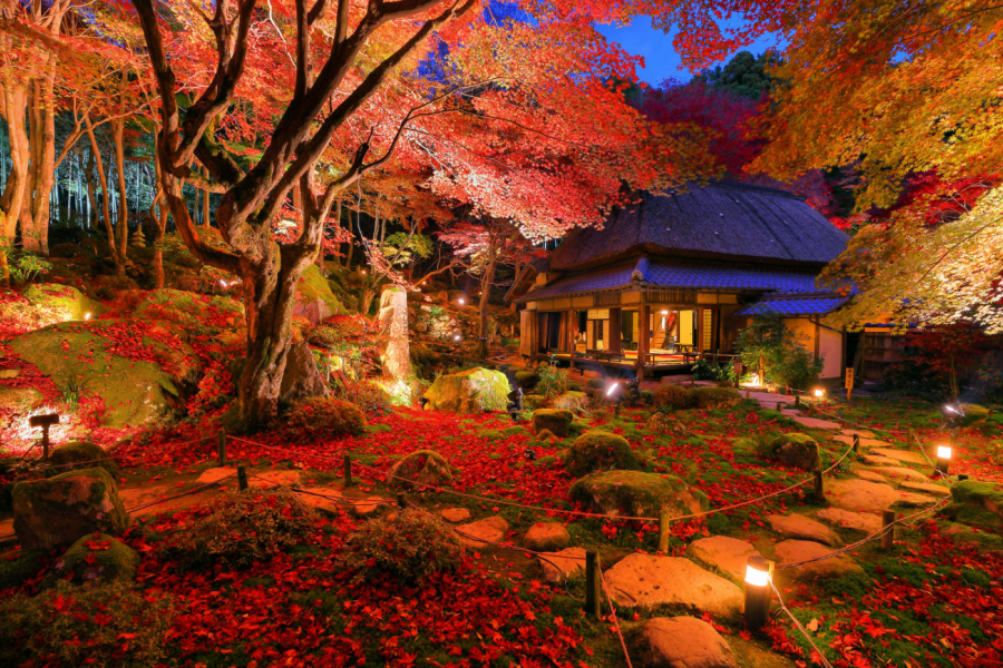屏幕截图 2025-08-14 154048.png