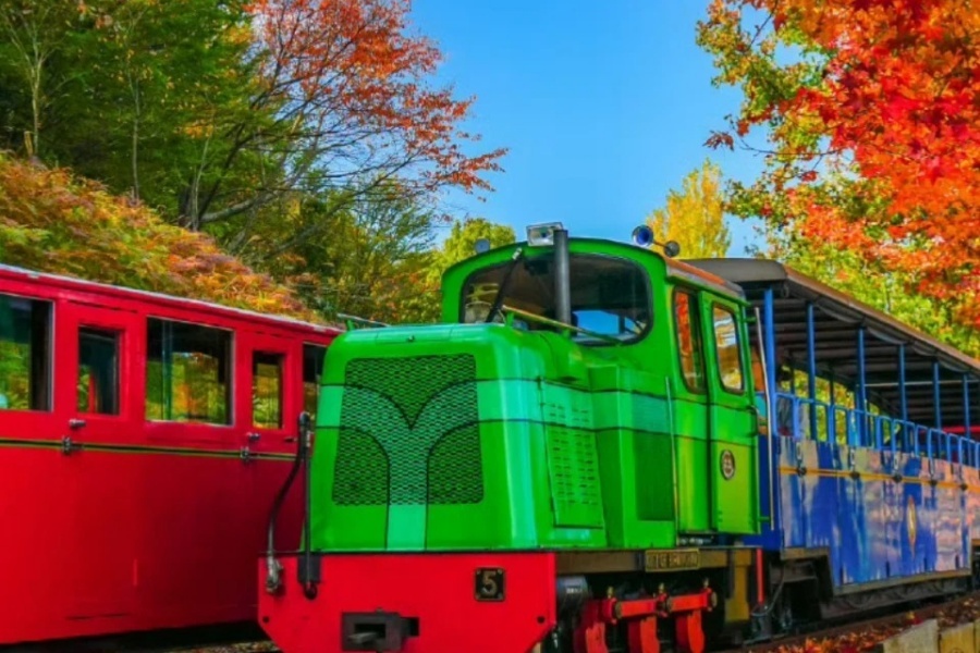 日本旅游枫叶季来啦！！_1_及时青松签_来自小红书网页版.jpg