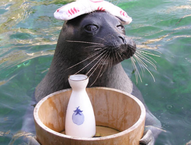產品圖片