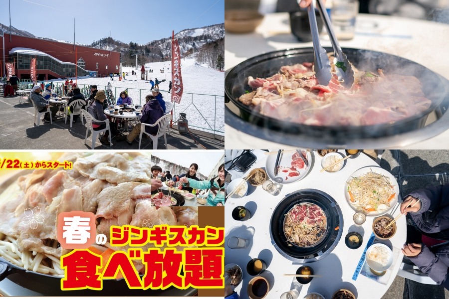 map_snow_副本.jpg