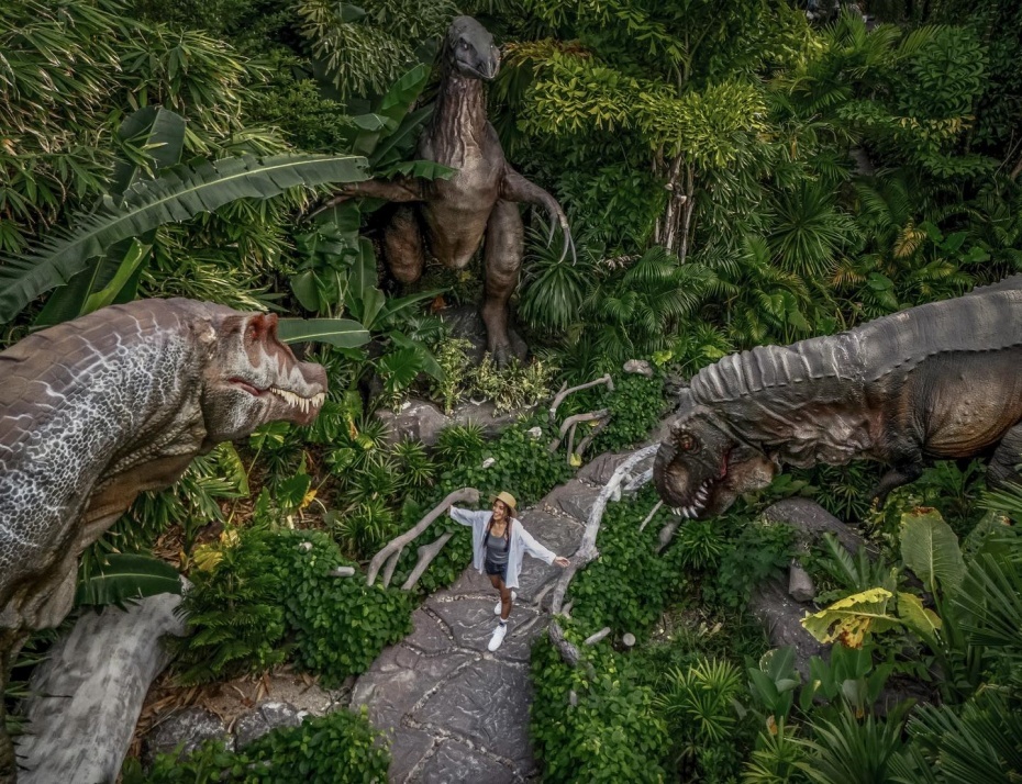 202509081424-2533553390.jpg 930-8.jpg