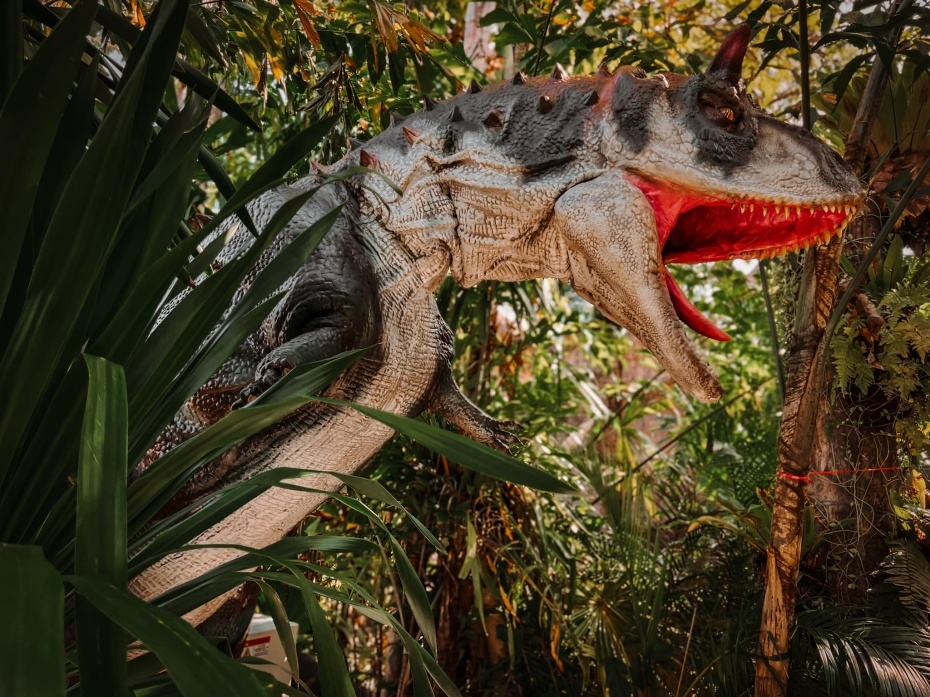 202509081449-5460440212.jpg 930-4.jpg