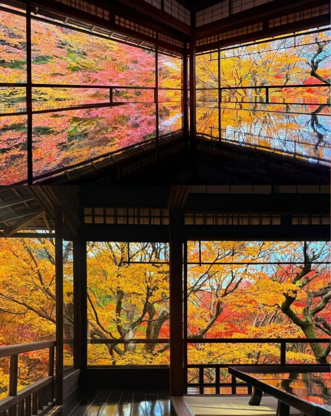 202509081451-6521209638.png image.png