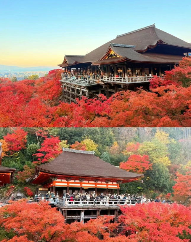 202509081452-6654199039.png image.png